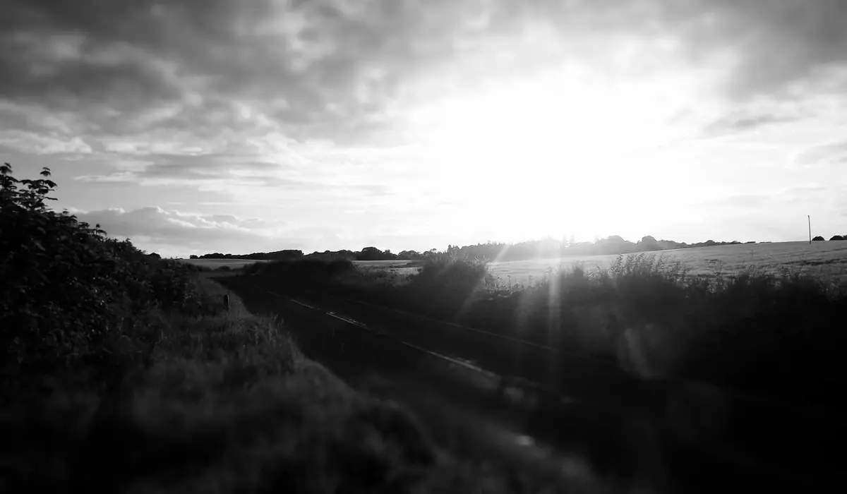 Wiegand, Weimann and Rippin